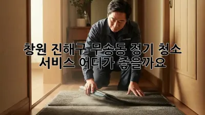 창원 진해구 무송동 정기 청소 서비스, 어디가 좋을까요?