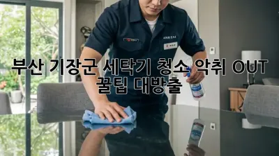 부산 기장군 세탁기 청소🧼 악취 OUT! 꿀팁 대방출✨